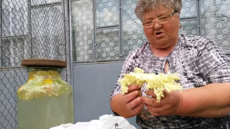 RETETA SOCATA: Cea mai bună SOCATĂ. Mod de preparare SOCATĂ TRADIŢIONALĂ. Trucurile bunicii