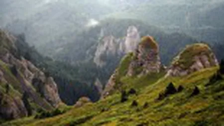 Tragedie pe munte. Un bătrân dispărut pe munte la cules de ciuperci a fost găsit decedat