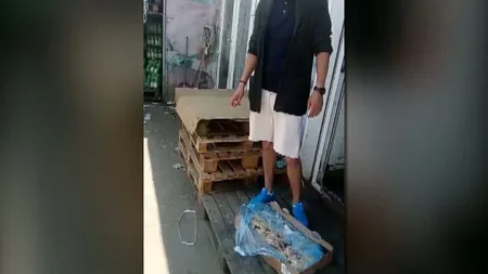 Pulpe de pui stricate, vândute cu baxul VIDEO