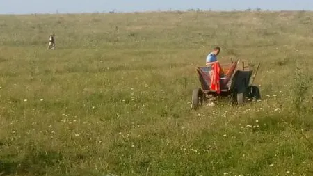 Fetiţa de 2 ani care a dispărut, după ce a fost lăsată nesupravegheată într-o căruţă, a fost găsită