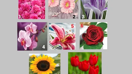 Alege o floare şi află ce fel de om eşti. Ţi se potriveşte?