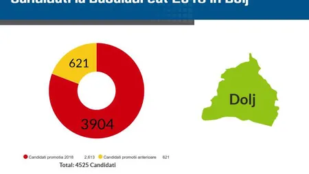 EDU.RO REZULTATE BACALAUREAT 2018: Ce note au primit elevii în Dolj