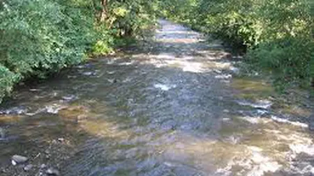Fratele copilului înecat sâmbătă în râul Jiu a fost găsit şi el mort