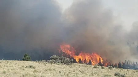 O femeie a dat foc unui câmp, pentru a împiedica o 