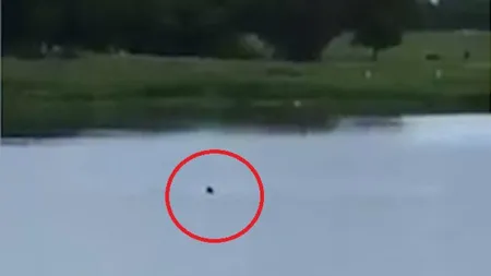 Tinerii care au filmat un bărbat care se îneca nu vor fi judecaţi. Motivul pentru care au scăpat NEPEDEPSIŢI