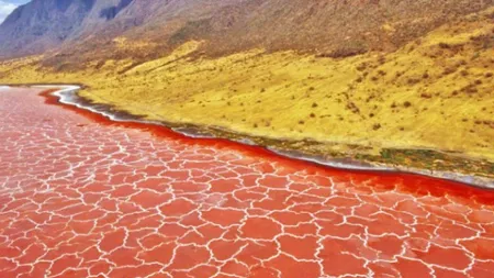 Superlativele mapamondului. Fenomenele incredibile ale naturii. Lacul Morţii - apa care împietreşte orice creatură VIDEO