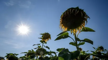 PROGNOZA METEO PE TREI ZILE. Început de august cu temperaturi în prag de CANICULĂ. Vreme foarte caldă în toată ţara