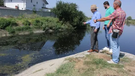 Dezastru ecologic lângă Capitală: apa, infestată cu E.coli, nu mai e potabilă. Depozitul de deşeuri din zonă ar fi responsabil