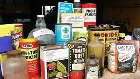 Nouă persoane au murit, între care şi un copil, din cauza unei intoxicaţii alimentare