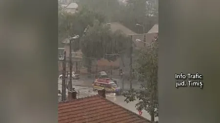 Furtuna a făcut prăpad la Timişoara