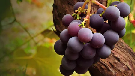 ECHINOCTIUL DE TOAMNA 2018. Ce este interzis să faci de duminică dacă vrei să nu atragi GHINIONUL asupra ta