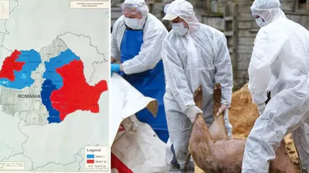 Pesta porcină africană SE EXTINDE. Noi focare confirmate în România