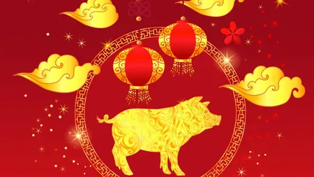 HOROSCOP CHINEZESC 2019: Anul mistreţului de pământ va fi unul plin de succese