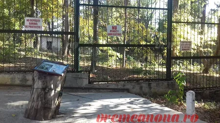 Doi adolescenţi, sfâşiaţi de urs la grădina zoologică în timp ce îşi făceau SELFIE lângă cuşcă
