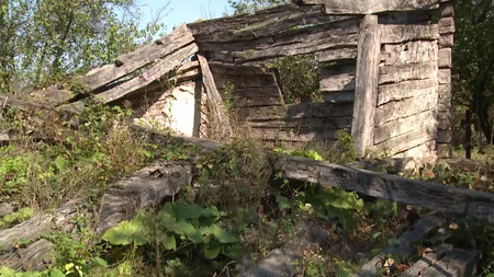 Casa lui Brâncuşi din Hobiţa a ajuns coteţ pentru păsări. Reacţia ministrului Culturii