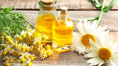 Imunitatea si gemoterapia: Plantele, 