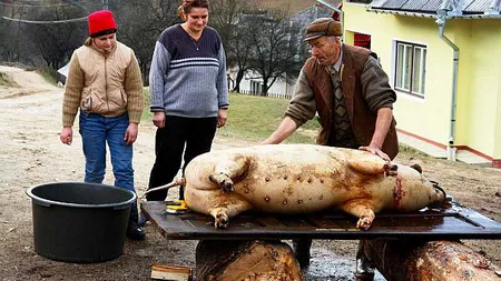 CRĂCIUN 2018. Cât va costa carnea de porc anul acesta