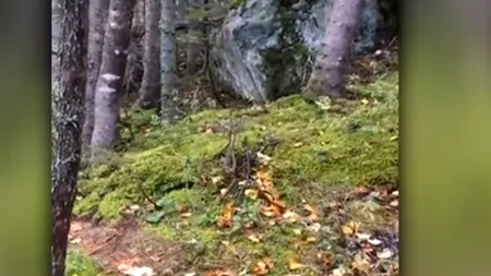 FENOMEN INEXPLICABIL ÎN CANADA. Oamenii de ştiinţă, ÎN ALERTĂ. Pământul parcă respiră VIDEO