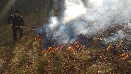 Incendiu într-o pădure de lângă oraşul Brezoi. ISU a declarat alertă portocalie