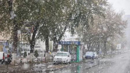 O nouă ALERTĂ METEO. Ninsorile din ultimele ore au afectat şapte judeţe ale ţării VIDEO