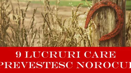 9 Lucruri care prevestesc norocul. Dacă găseşti unul din ele, fericirea va intra în viaţa ta