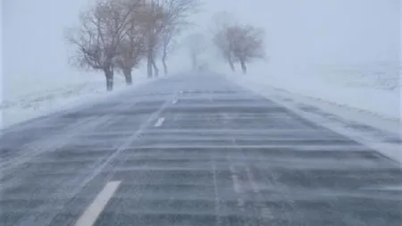 Noi ALERTE METEO de vreme severă imediată: Ploaie şi vânt puternic, ninsori la munte