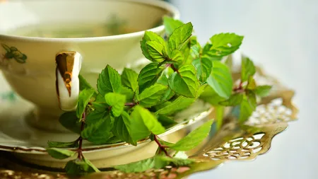 Ceai de mentă. Ce beneficii are. Cine trebuie să-l ocolească. Reţeta pentru un ceai de mentă delicios