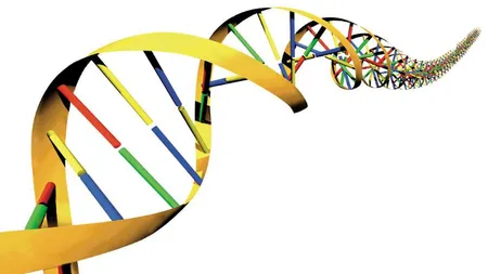 Oamenii de ştiinţă au lansat proiectul descifrării genomului tuturor speciilor de pe Terra