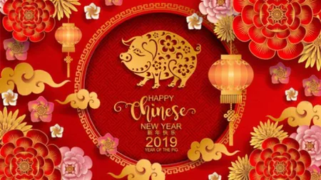 Zodiac CHINEZESC 2019: Cum ne influenţează Mistreţul de Pământ