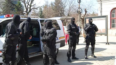 10 percheziţii în Prahova, la persoane bănuite de infracţiuni silvice