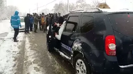 Răscoală în localitatea Rusăneşti din Olt, lovită de virusul pestei porcine: Au fost ucişi și porcii din ferma primarului