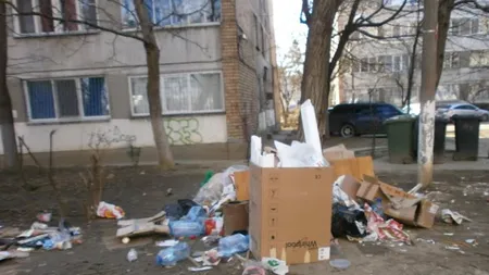 Primăria Timişoara a fost amendată de Garda de Mediu cu 50.000 de lei pentru gunoaiele de pe străzi
