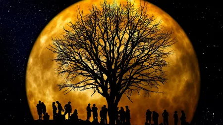 Horoscop lunar IANUARIE 2019. Start de an in FORTA! Lant de evenimente MONUMENTALE, eclipse si Luna plina sangerie!