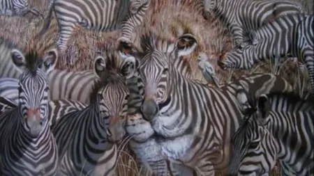 Priveşte cu atenţie imaginea! Ce animal vezi prima dată? Află ce fel de persoană eşti in funcţie de răspuns