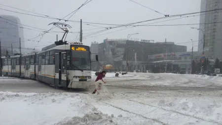 Vremea rea a făcut ravagii în Capitală: copaci doborâţi de vânt, tramvaie blocate, autoturisme distruse UPDATE