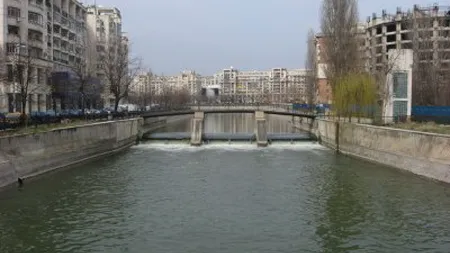 Cadavru în râul Dâmboviţa, în Capitală
