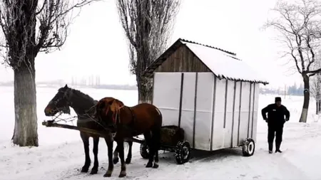 Un cioban din Botoşani şi-a pus casa pe roţi şi se plimbă prin sat împreună cu soţia însărcinată VIDEO