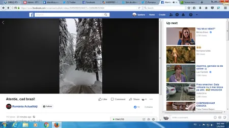 Atenţie, cad brazi! O maşină plină cu oameni era să fie strivită de un copac, imagini surprinse în direct VIDEO