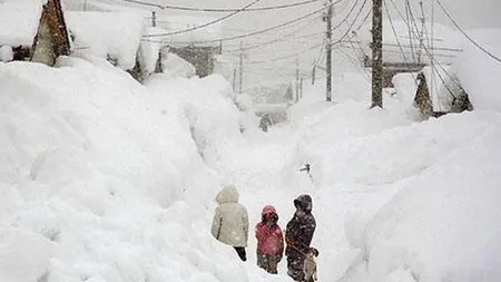 Furtună de zăpadă în Japonia. Traficul aerian şi terestru, puternic perturbat VIDEO