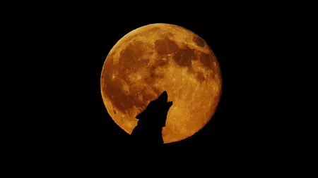 10 lucruri SURPRINZĂTOARE ce se întâmplă ATUNCI CâND ESTE LUNĂ PLINĂ
