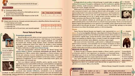 Elevii învaţă despre fenomene bizare la limba română. Ce scrie în Manualul de clasa a IV-a