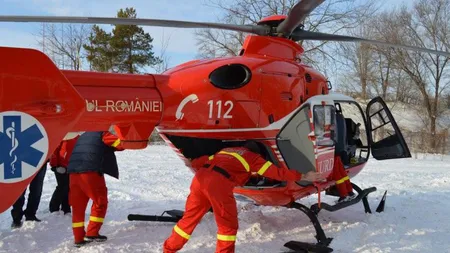 Un copil de 12 ani din Vaslui a rămas fără nas după ce a fost muşcat de nas de câinele din curte