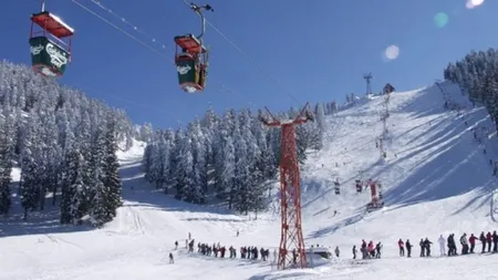 Telescaunul Ruia din Poiană, oprit după ce un brad a căzut pe instalaţie