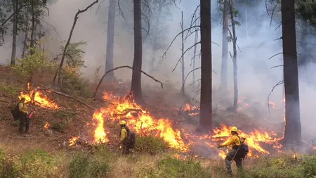 Cod roşu de incendii. Autorităţile au declarat starea de alertă. Sute de localităţi sunt afectate