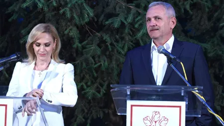 Gabriela Firea, despre discuţia cu Dragnea: 