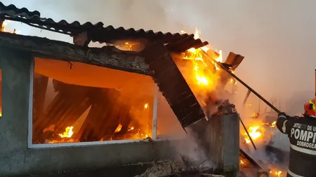 Incendiu puternic într-un ansamblu de locuinţe din Constanţa