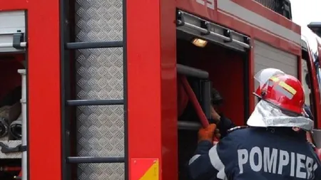 Incendiu la un adăpost de animale din localitatea Mizil: 250 de animale au murit UPDATE