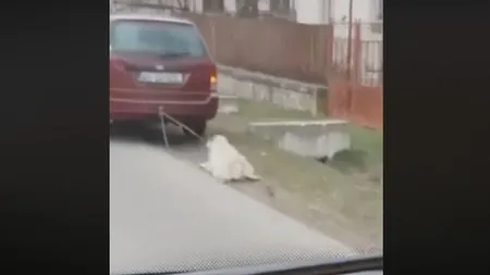Imagini îngrozitoare surprinse în Vâlcea. Un câine a fost legat de maşină şi târât sute de metri VIDEO