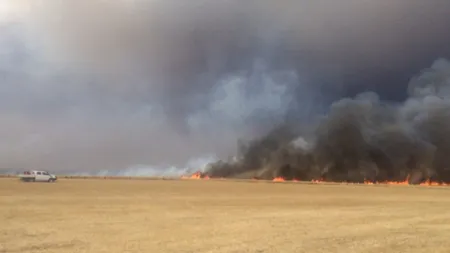 Circulaţia oprită pe A1 Bucureşti-Piteşti din cauza unui incendiu de vegetaţie