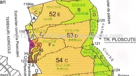 Pădure din România de vânzare pe Alibaba. Câţi bani vrea proprietarul pe ea